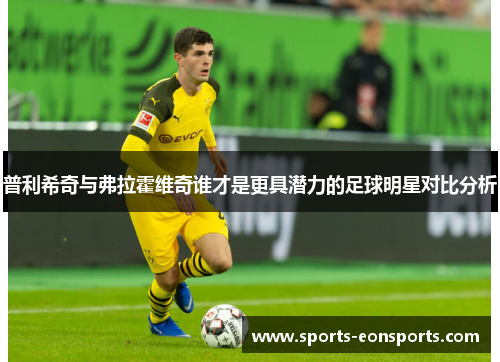 普利希奇与弗拉霍维奇谁才是更具潜力的足球明星对比分析