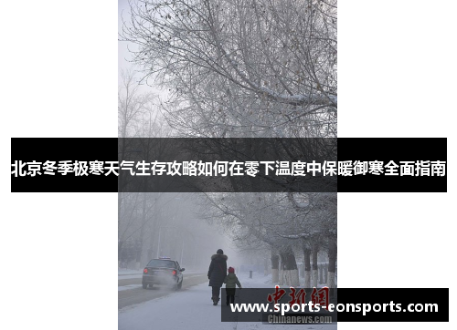 北京冬季极寒天气生存攻略如何在零下温度中保暖御寒全面指南