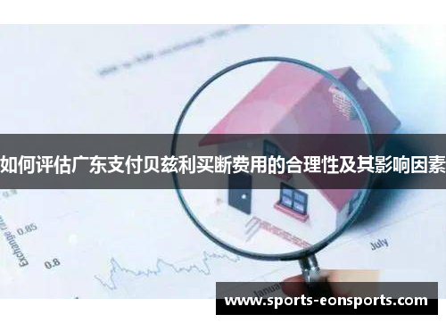 如何评估广东支付贝兹利买断费用的合理性及其影响因素