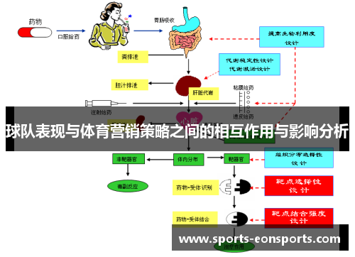 球队表现与体育营销策略之间的相互作用与影响分析