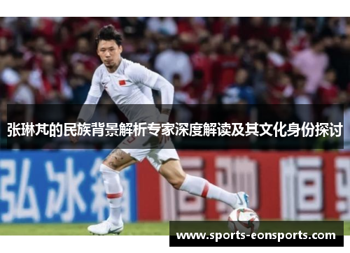 张琳芃的民族背景解析专家深度解读及其文化身份探讨