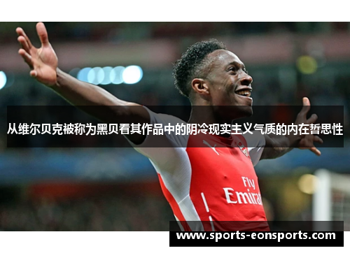 从维尔贝克被称为黑贝看其作品中的阴冷现实主义气质的内在哲思性
