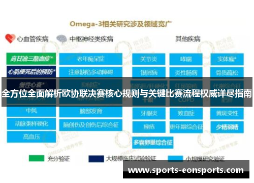 全方位全面解析欧协联决赛核心规则与关键比赛流程权威详尽指南